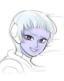 sketch